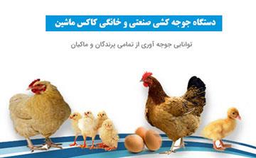 نمایندگی دستگاههای جوجه کشی کاکس هلند